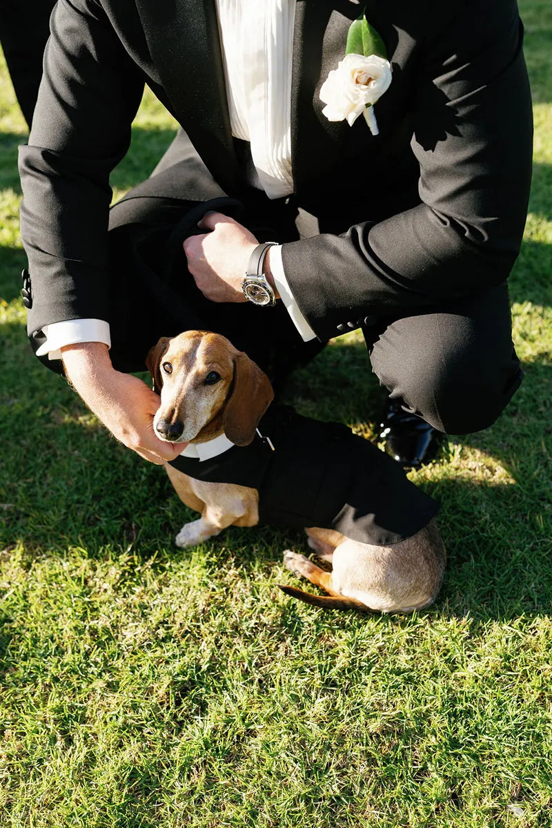 Melissa_Tom_wedding_preview-62.webp