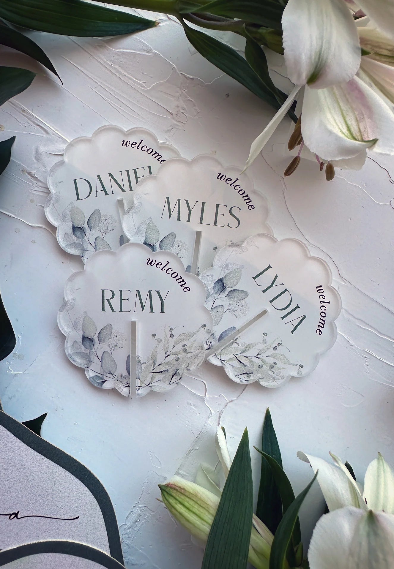 The Sintra Suite frosted acrylic welcome name place cards with watercolor eucalyptus for Daniel Myles Remy and Lydia by Felicitations